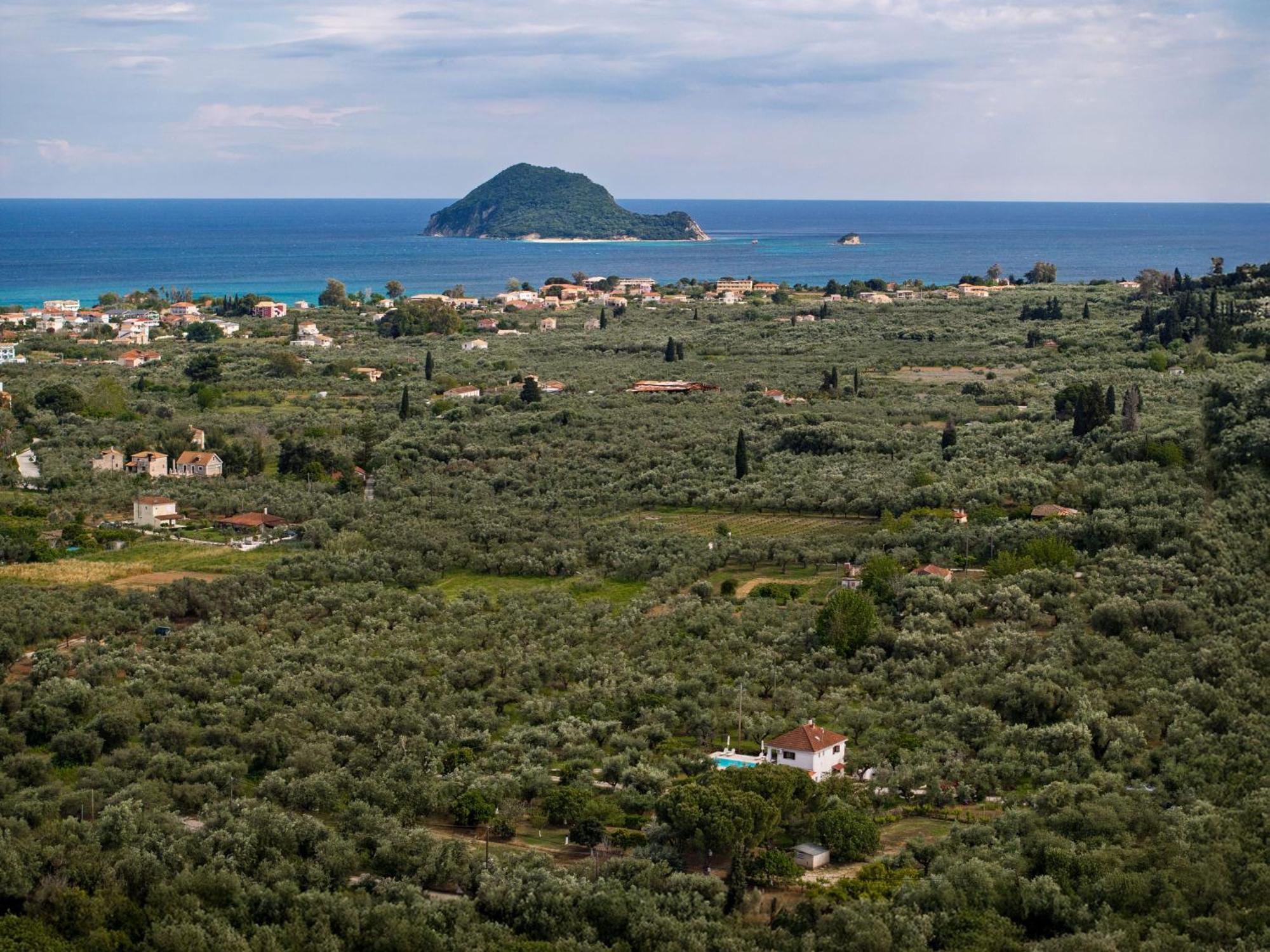 Villa Lola - 3 Bedrooms & Private Pool Lithakia  Bagian luar foto