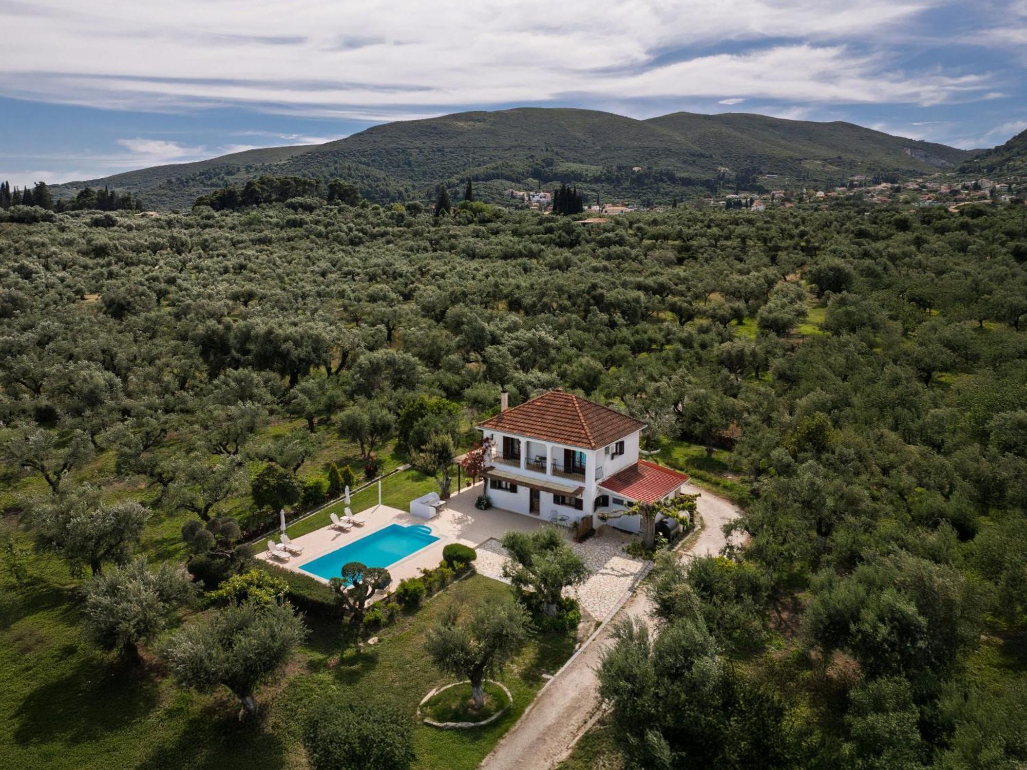 Villa Lola - 3 Bedrooms & Private Pool Lithakia  Bagian luar foto