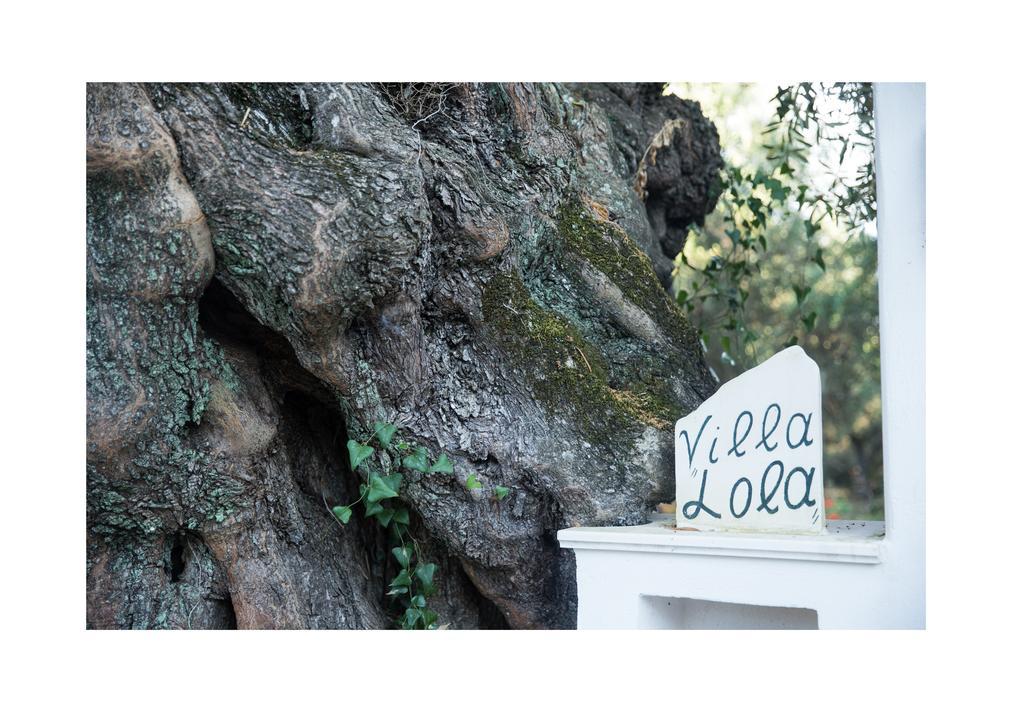 Villa Lola - 3 Bedrooms & Private Pool Lithakia  Bagian luar foto